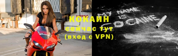 мдпв Вяземский