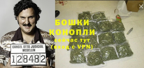 мдпв Вяземский