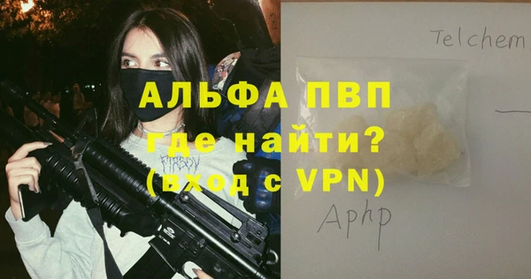мдпв Вяземский